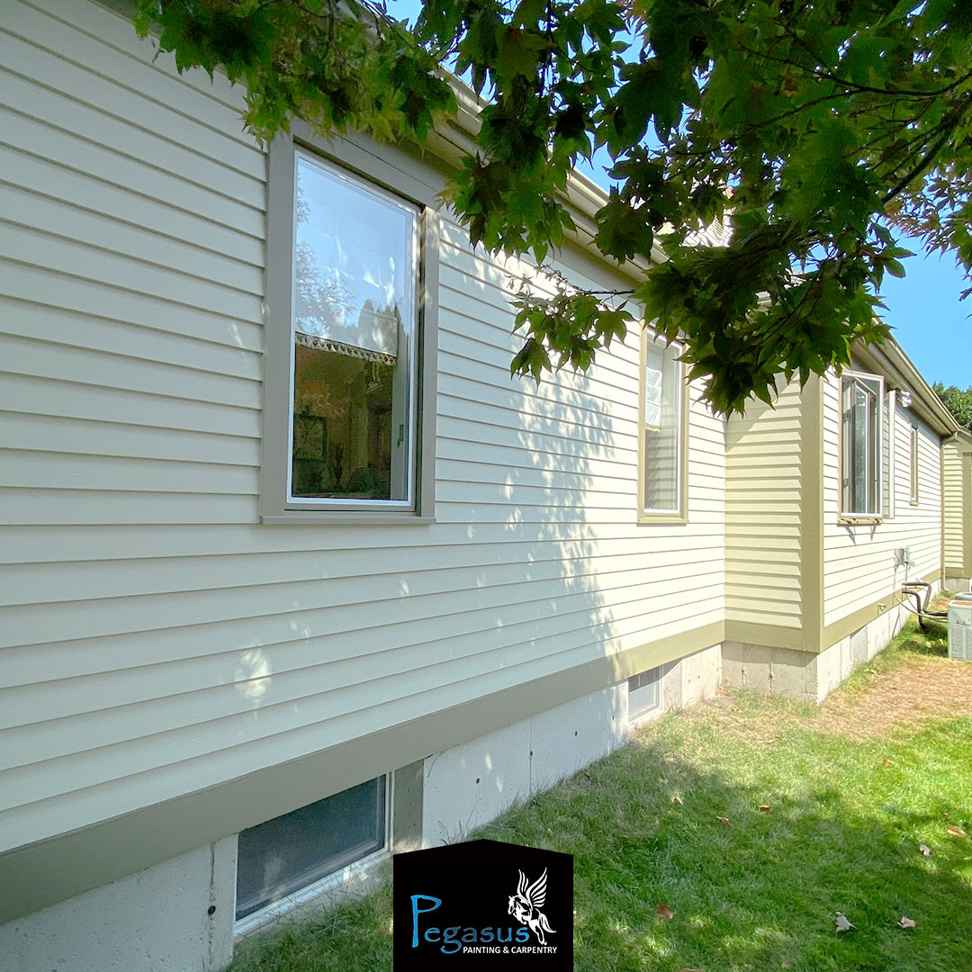 Pegasus Painting and Carpentry - 11