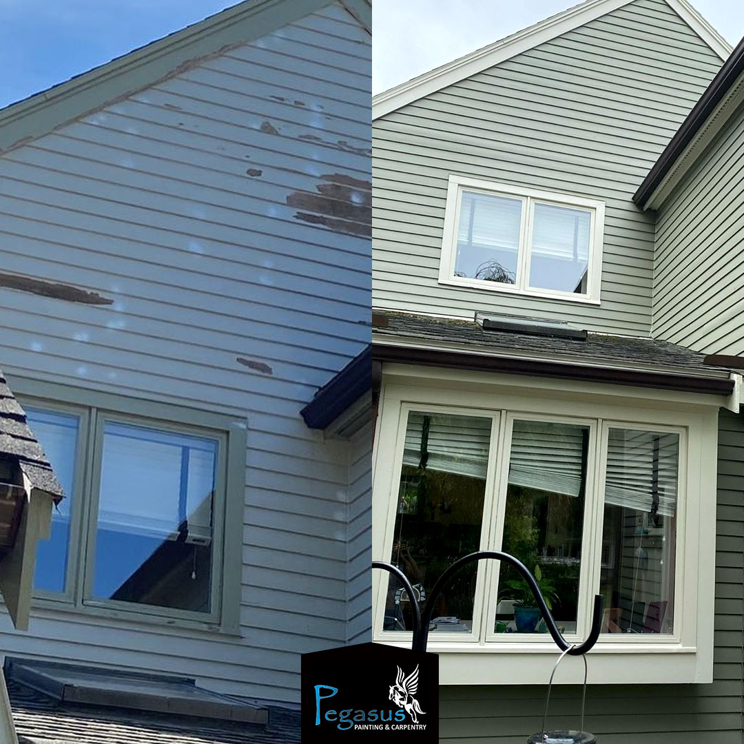 Pegasus Painting and Carpentry - 5